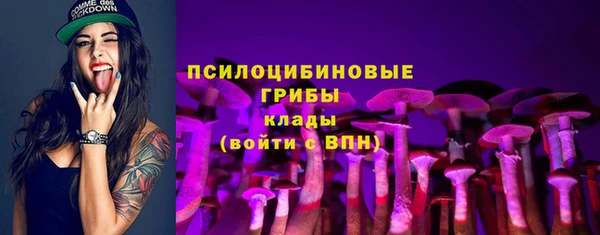 круглые Богданович