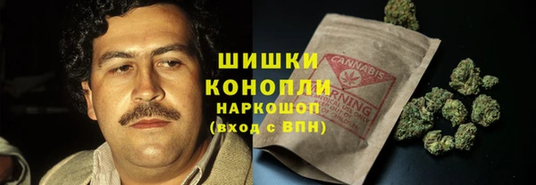 шишки Богородск