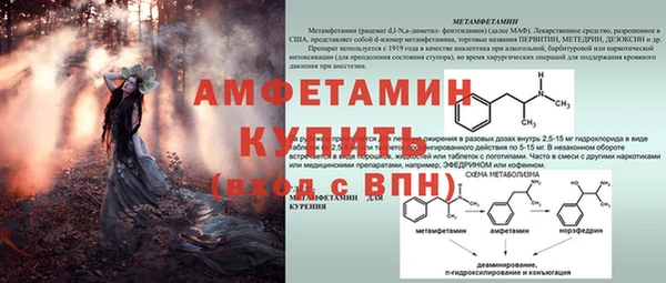 шишки Богородск