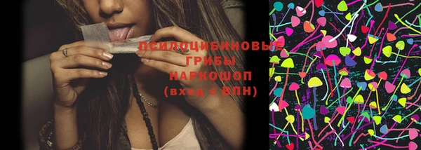 шишки Богородск
