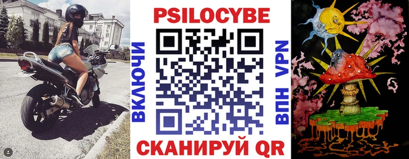 Псилоцибиновые грибы Psilocybine cubensis  цена   гидра маркетплейс  Чистополь 